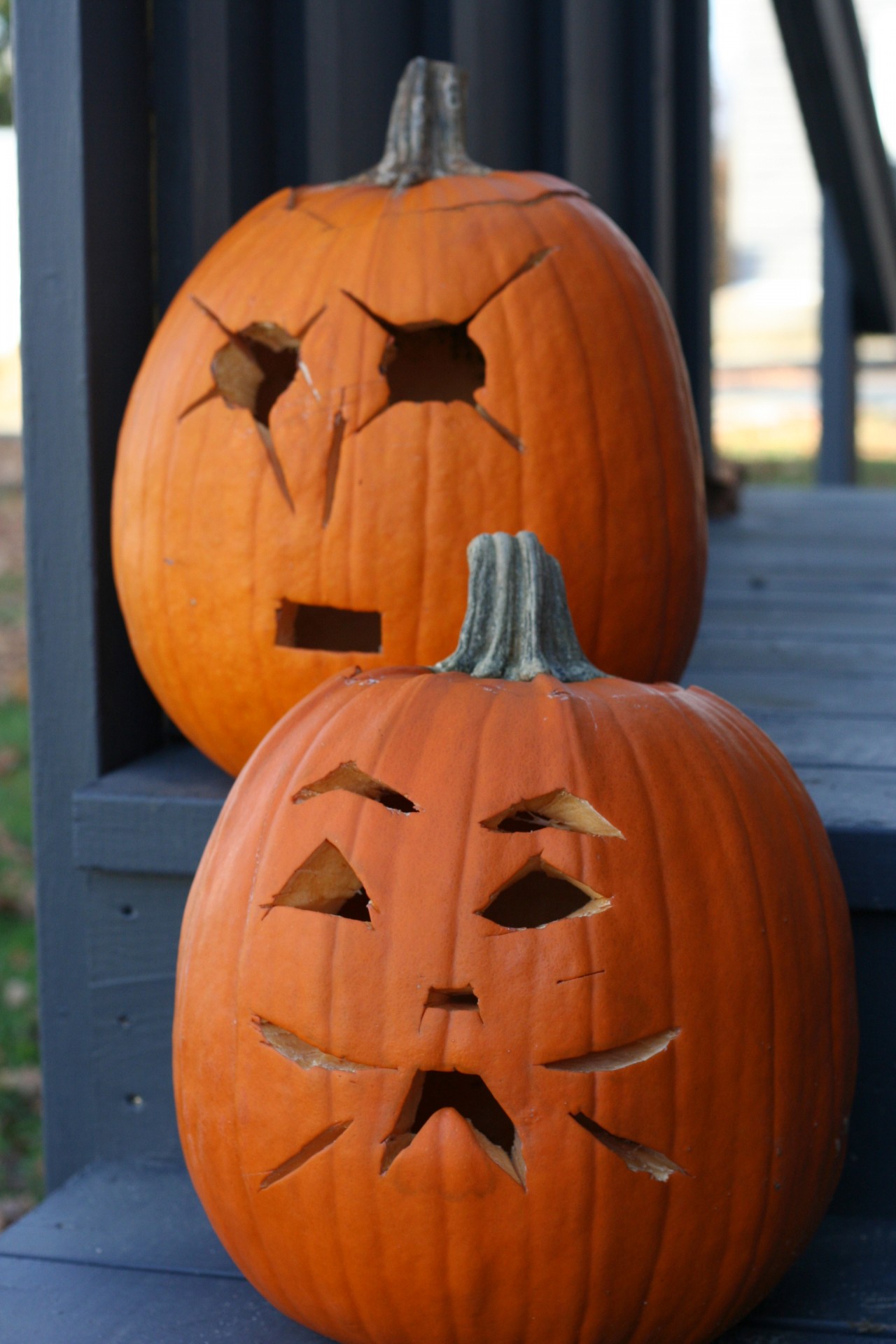 two carved pumpkin jack o lanterns free photo