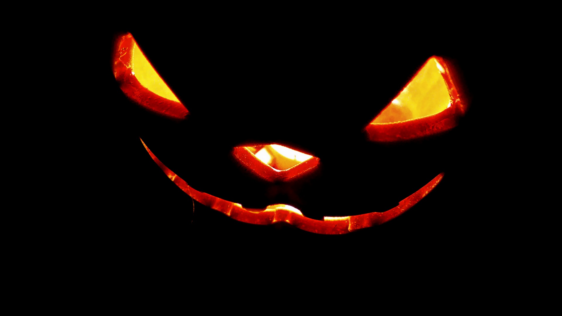 jack o lantern halloween free photo