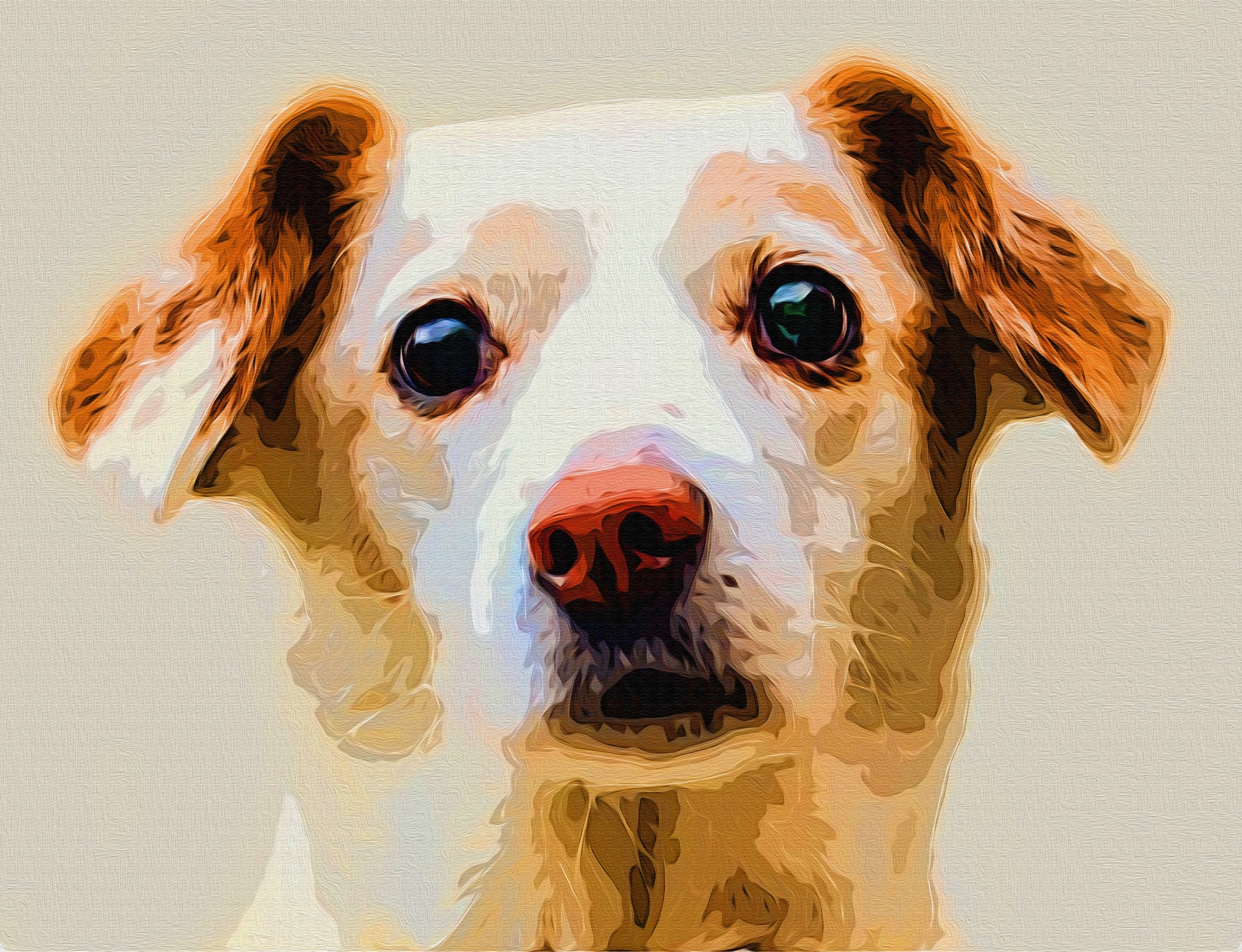 jack russel digital painting dog dogs free photo