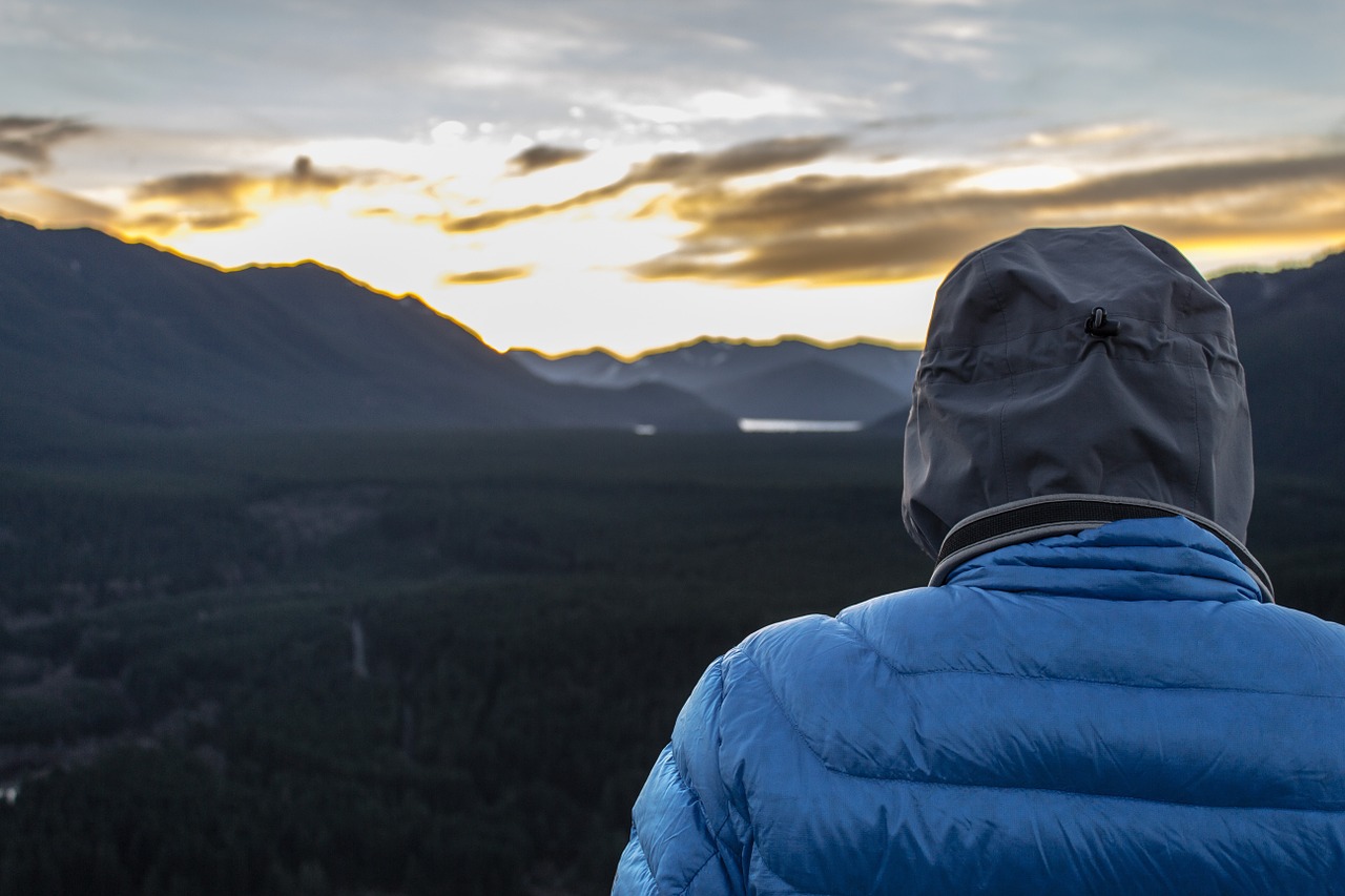 jacket hood mountains free photo