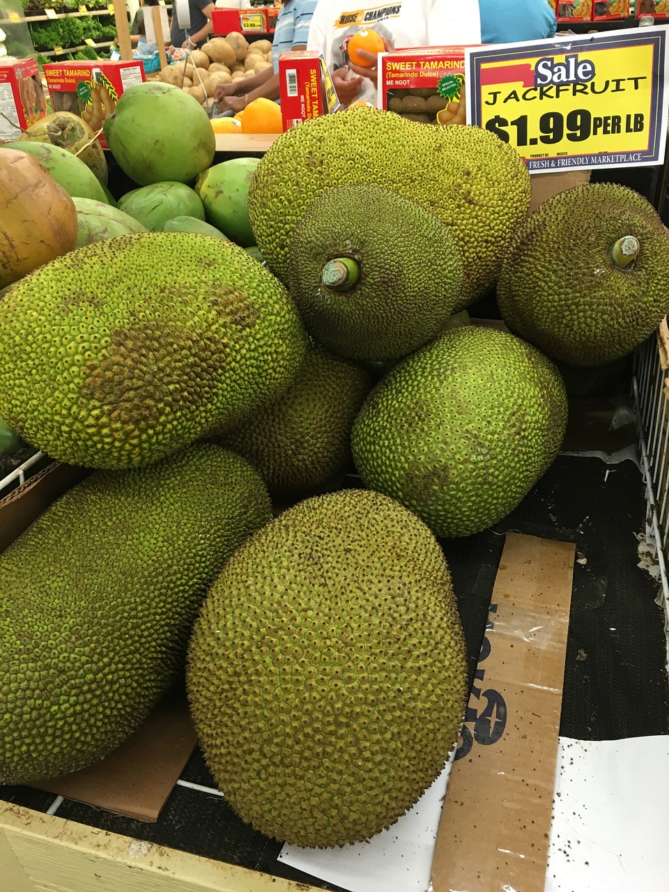 jackfruit vegetable market free photo