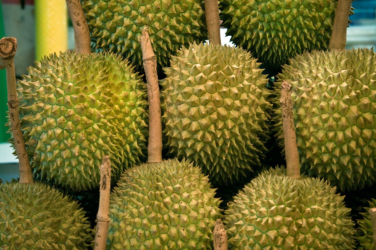 jackfruit thailand asia free photo