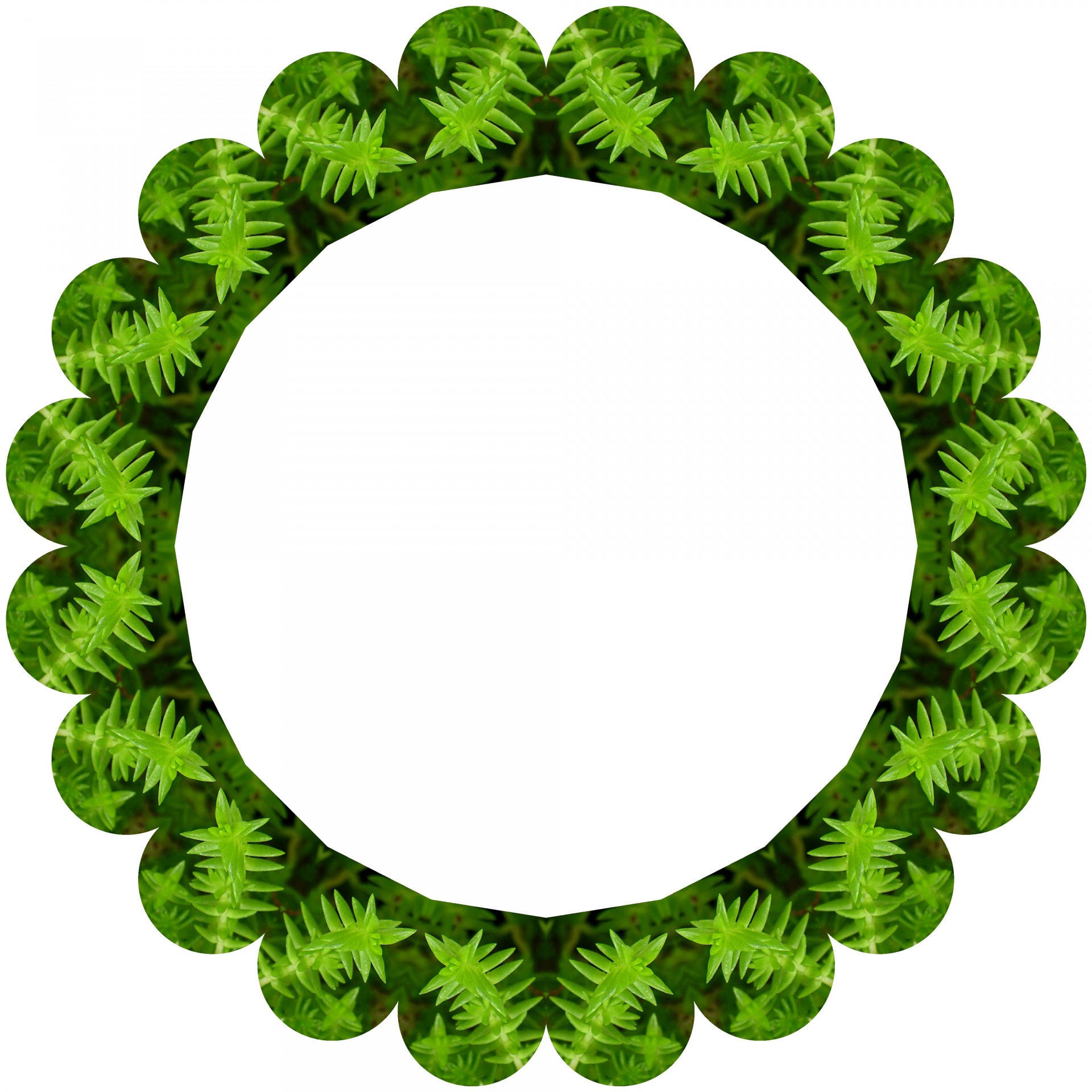 circle jade green free photo