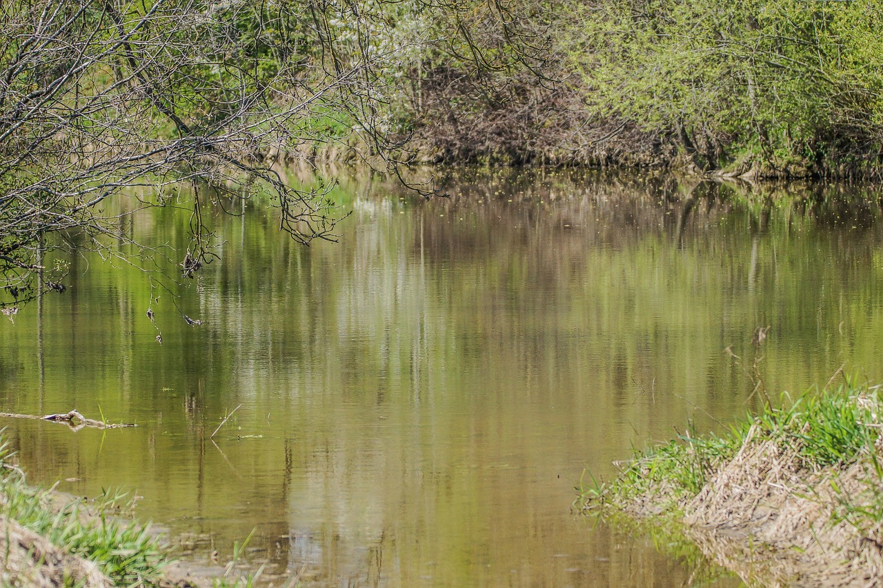 jagst river nature free photo