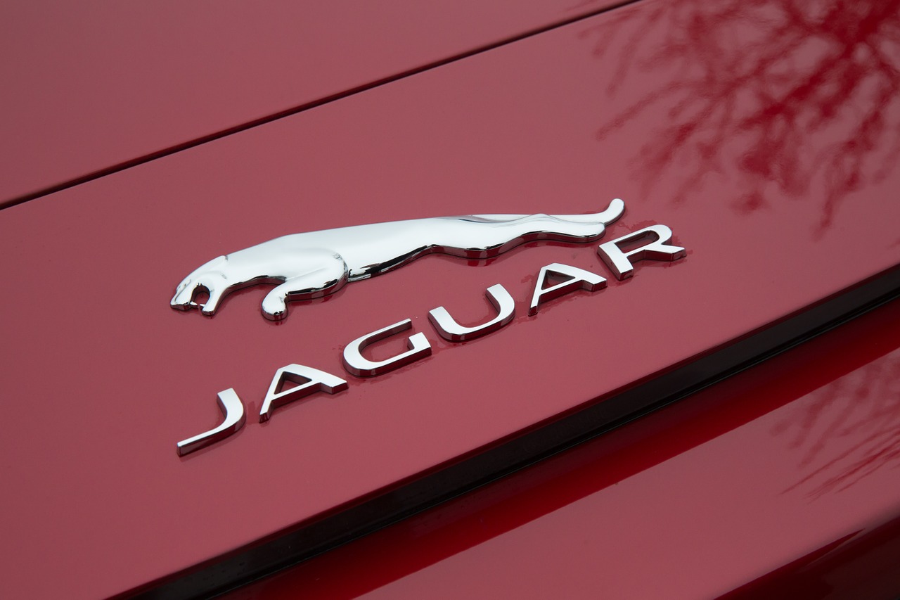 jaguar red logo free photo