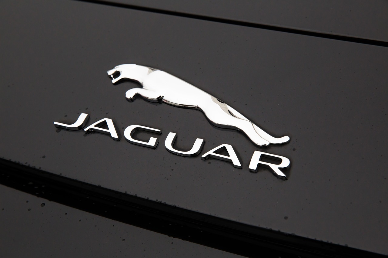 jaguar logo black free photo