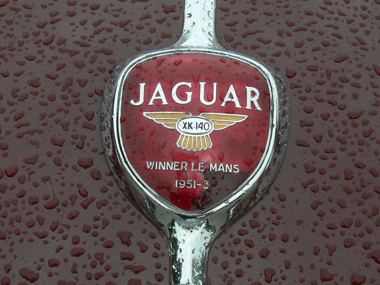 jaguar old car classic free photo