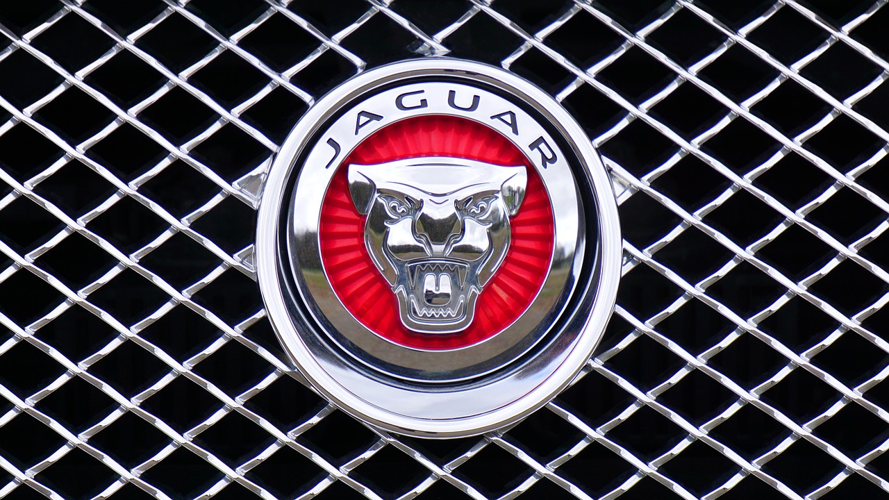 jaguar logo emblem free photo