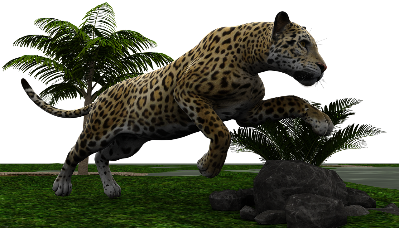 jaguar cat wildcat free photo