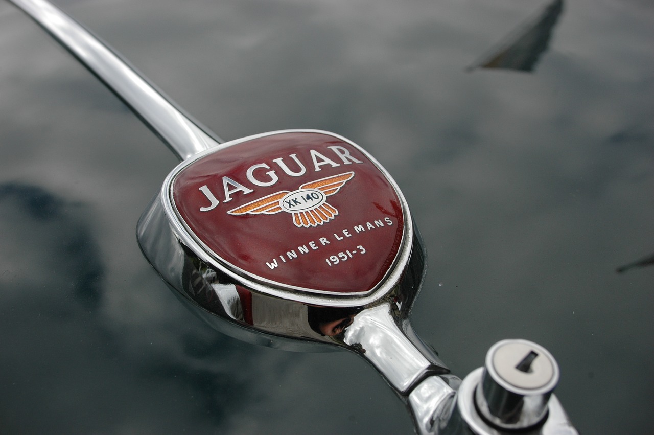 jaguar auto oldtimer free photo