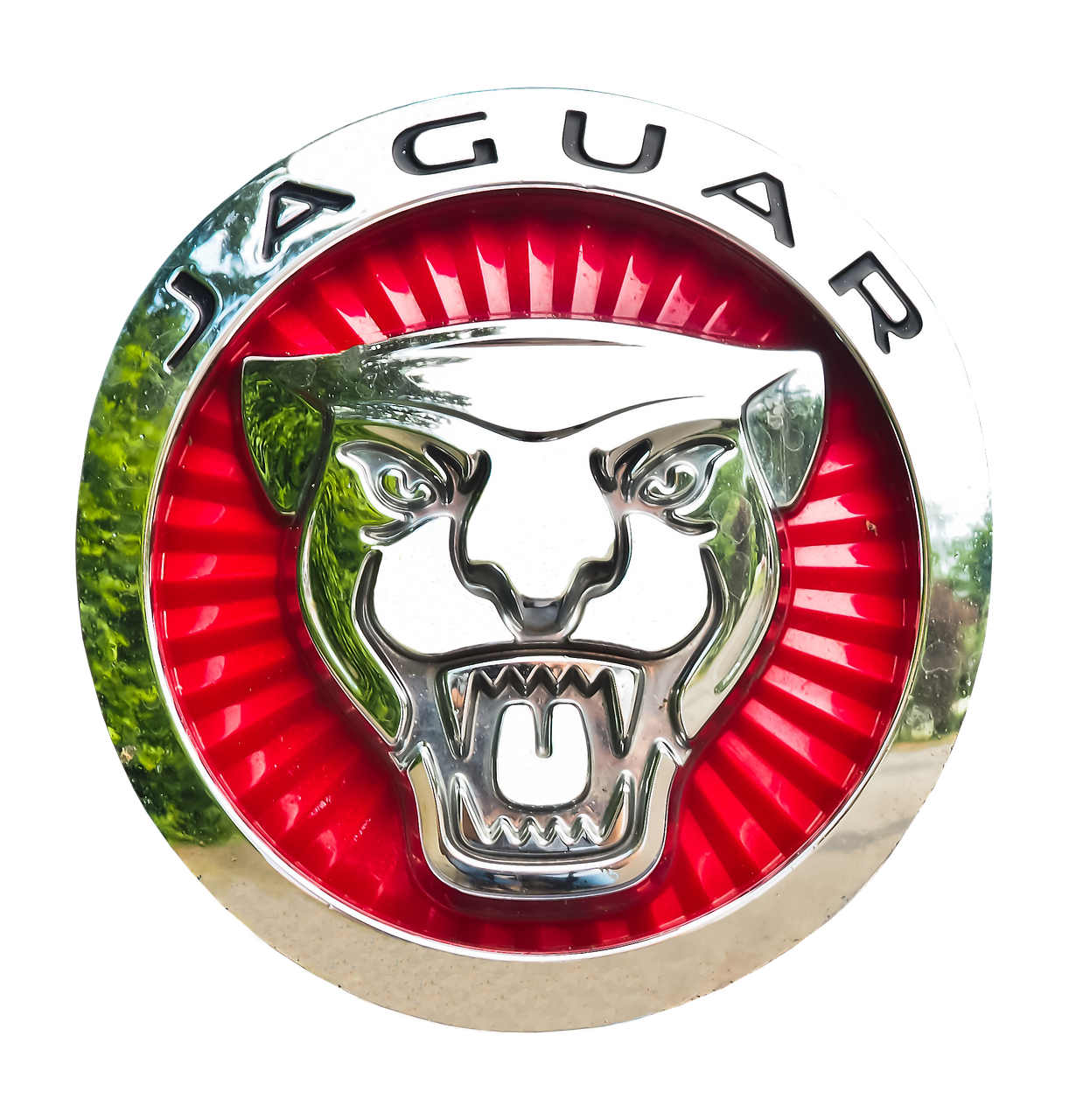 jaguar emblem car brand free photo