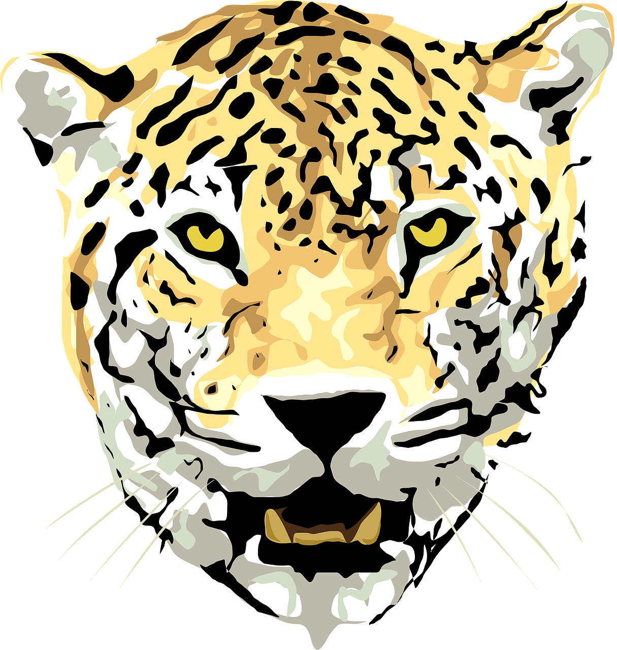 jaguar leopard animal free photo