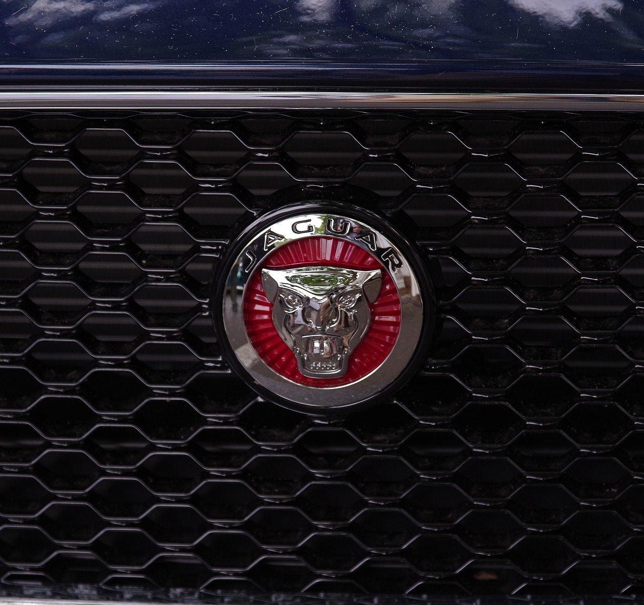 jaguar automotive emblem free photo