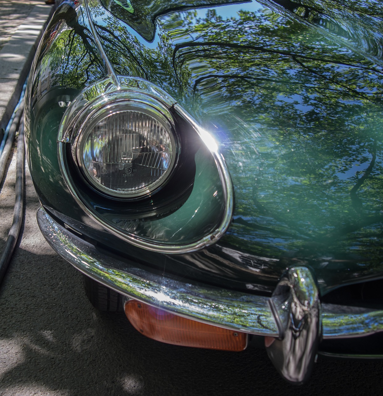 jaguar  spotlight  auto free photo