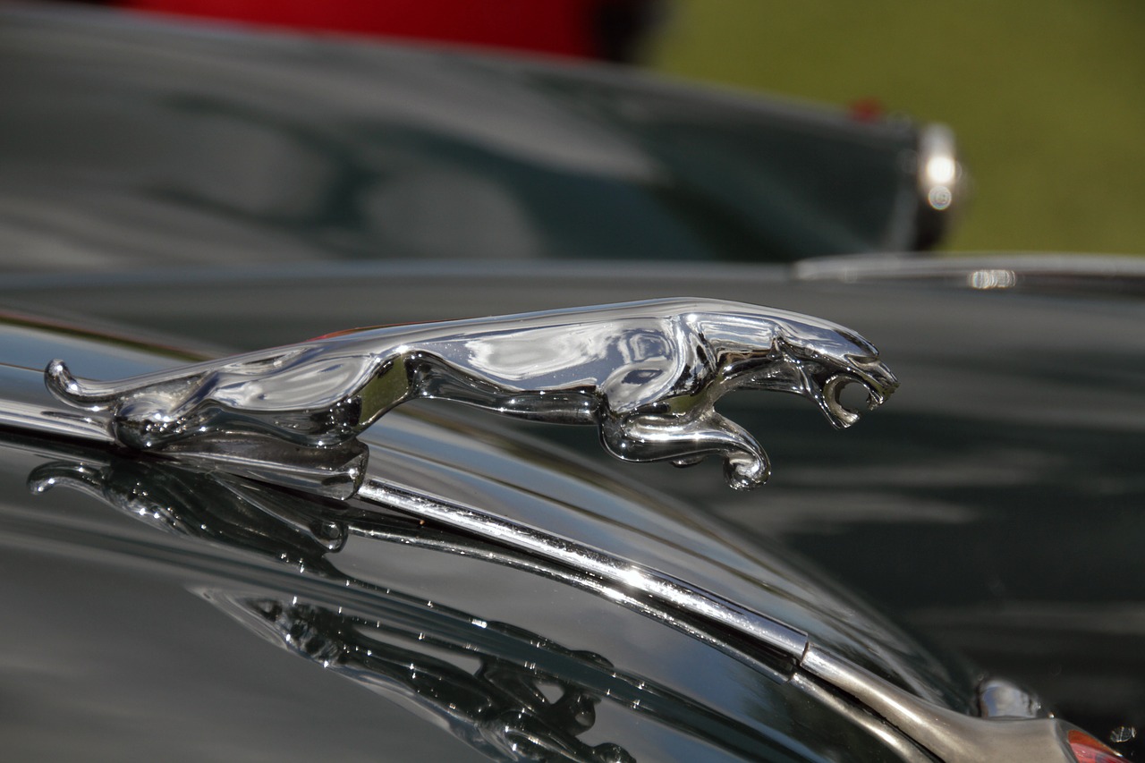 Jaguar, emblem, car, chrome, classic - free image from needpix.com