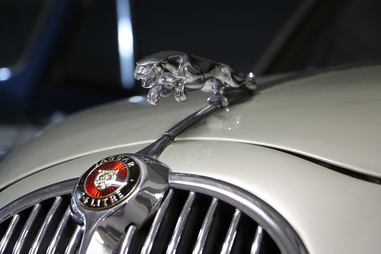 jaguar car emblem free photo