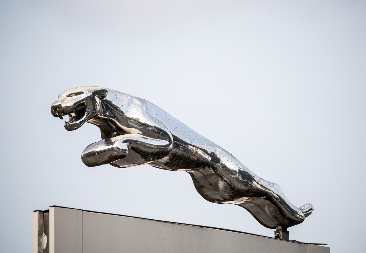 jaguar car brand emblem free photo