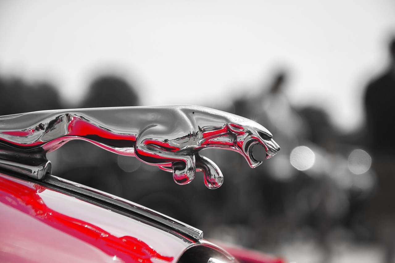 jaguar hood car free photo