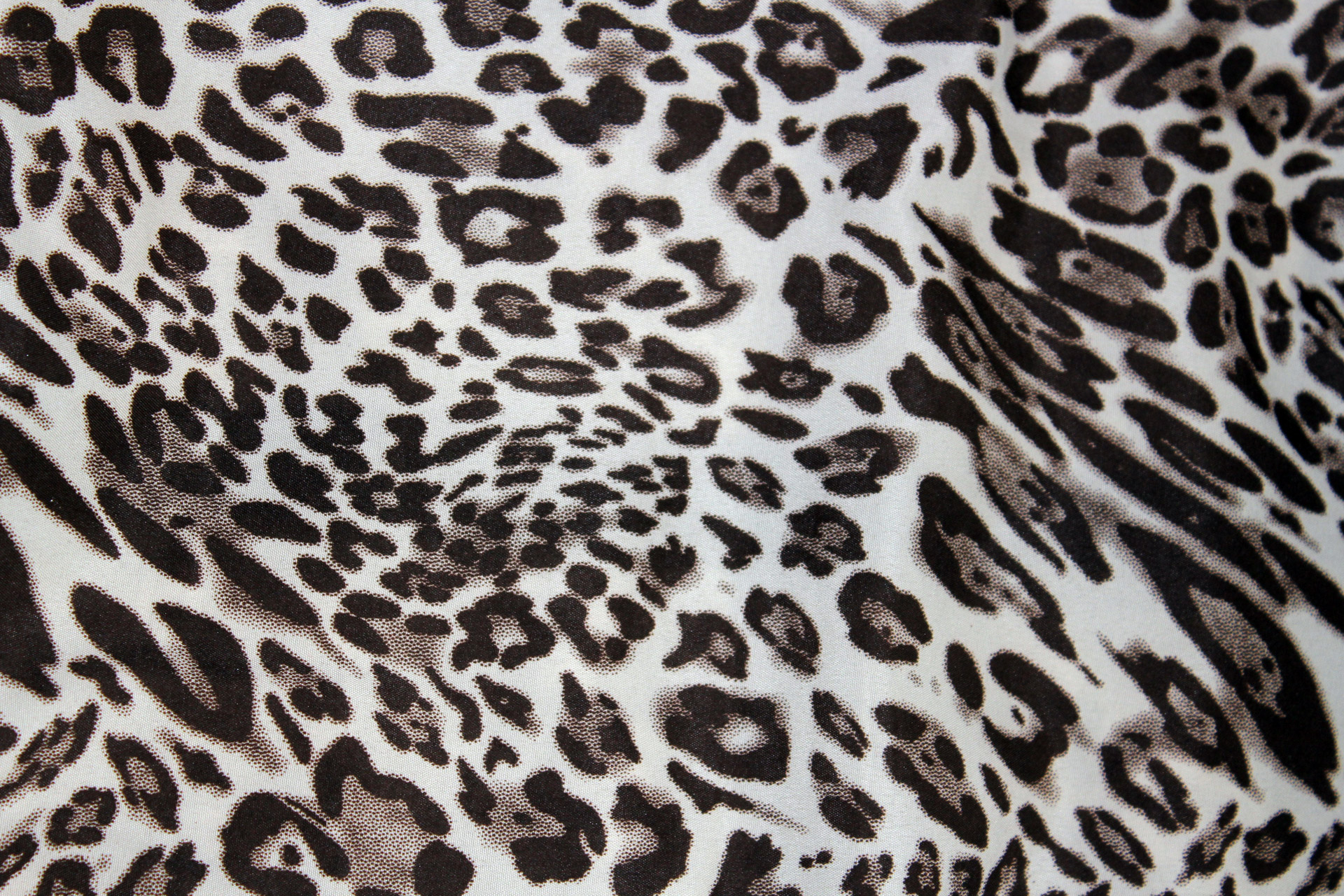 jaguar textile cloth free photo