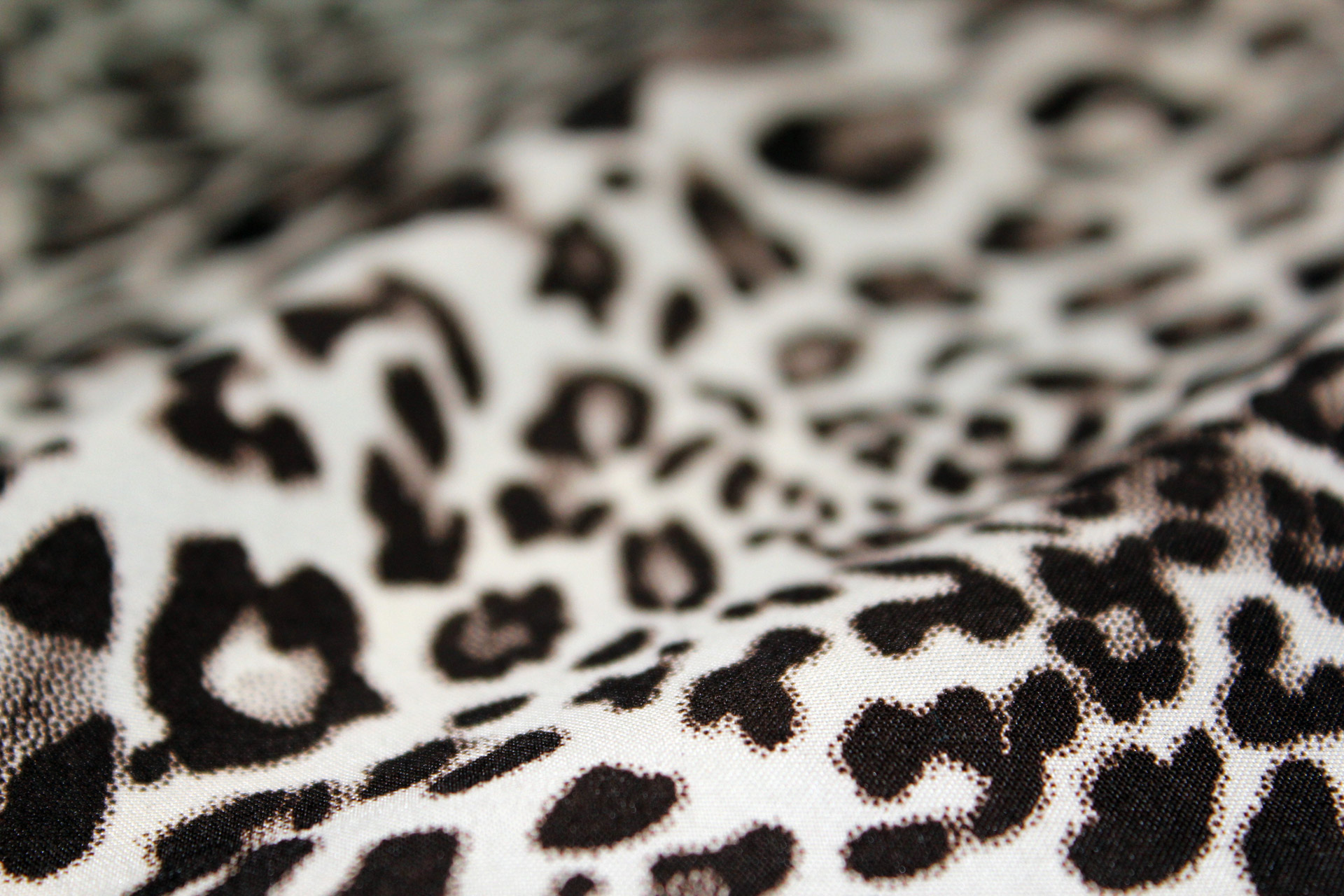 jaguar textile cloth free photo