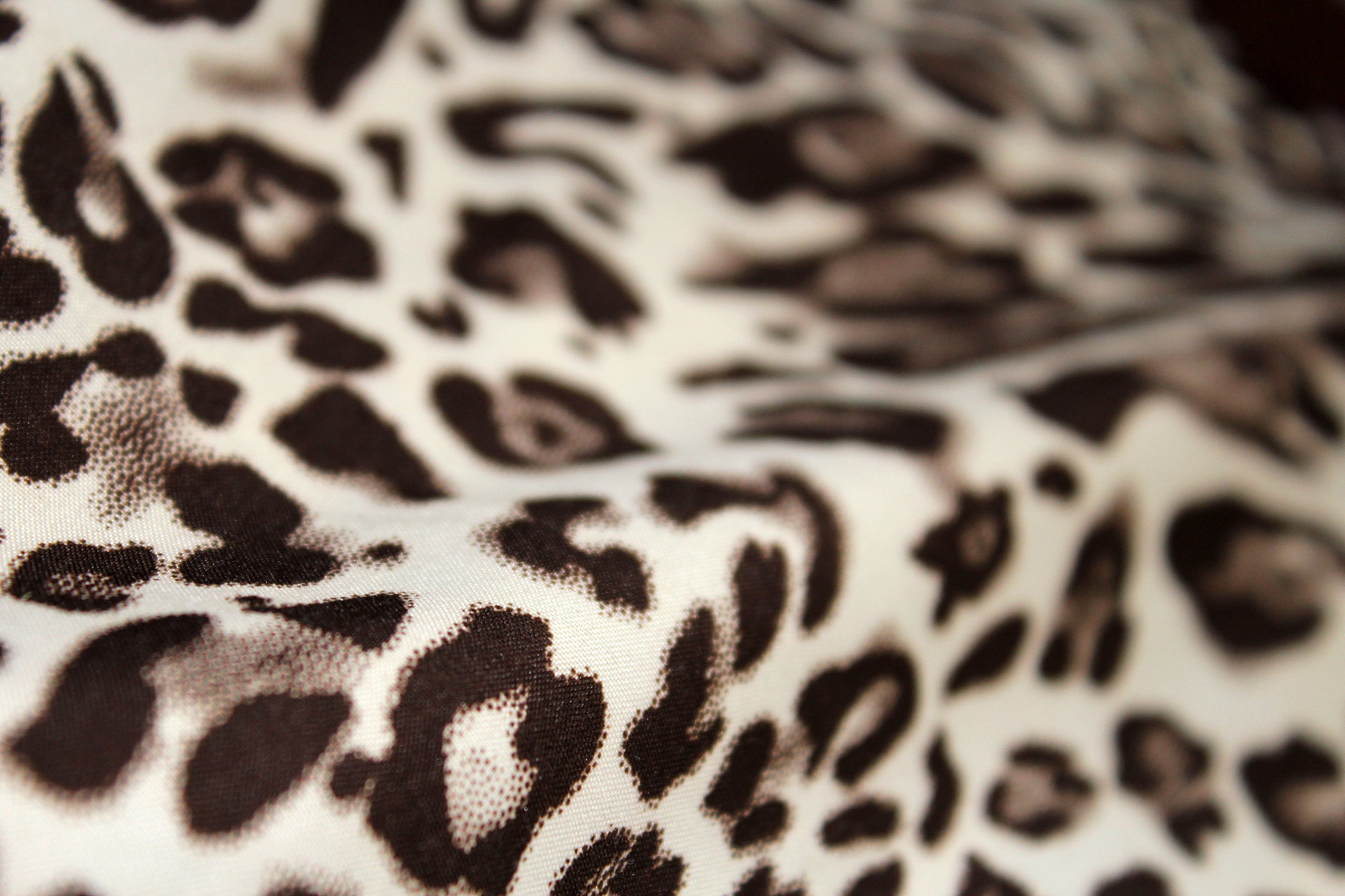 jaguar textile cloth free photo