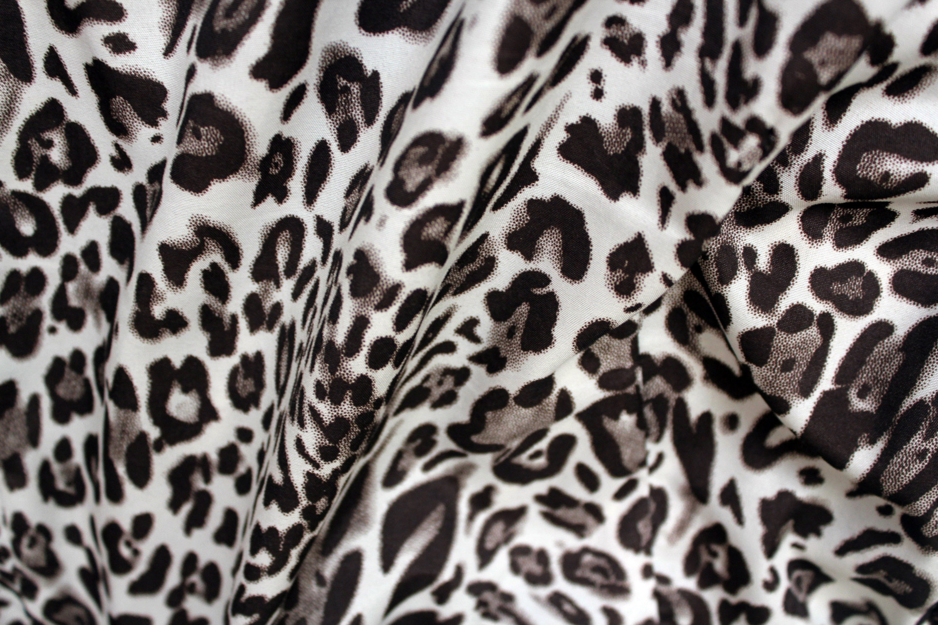 jaguar textile cloth free photo