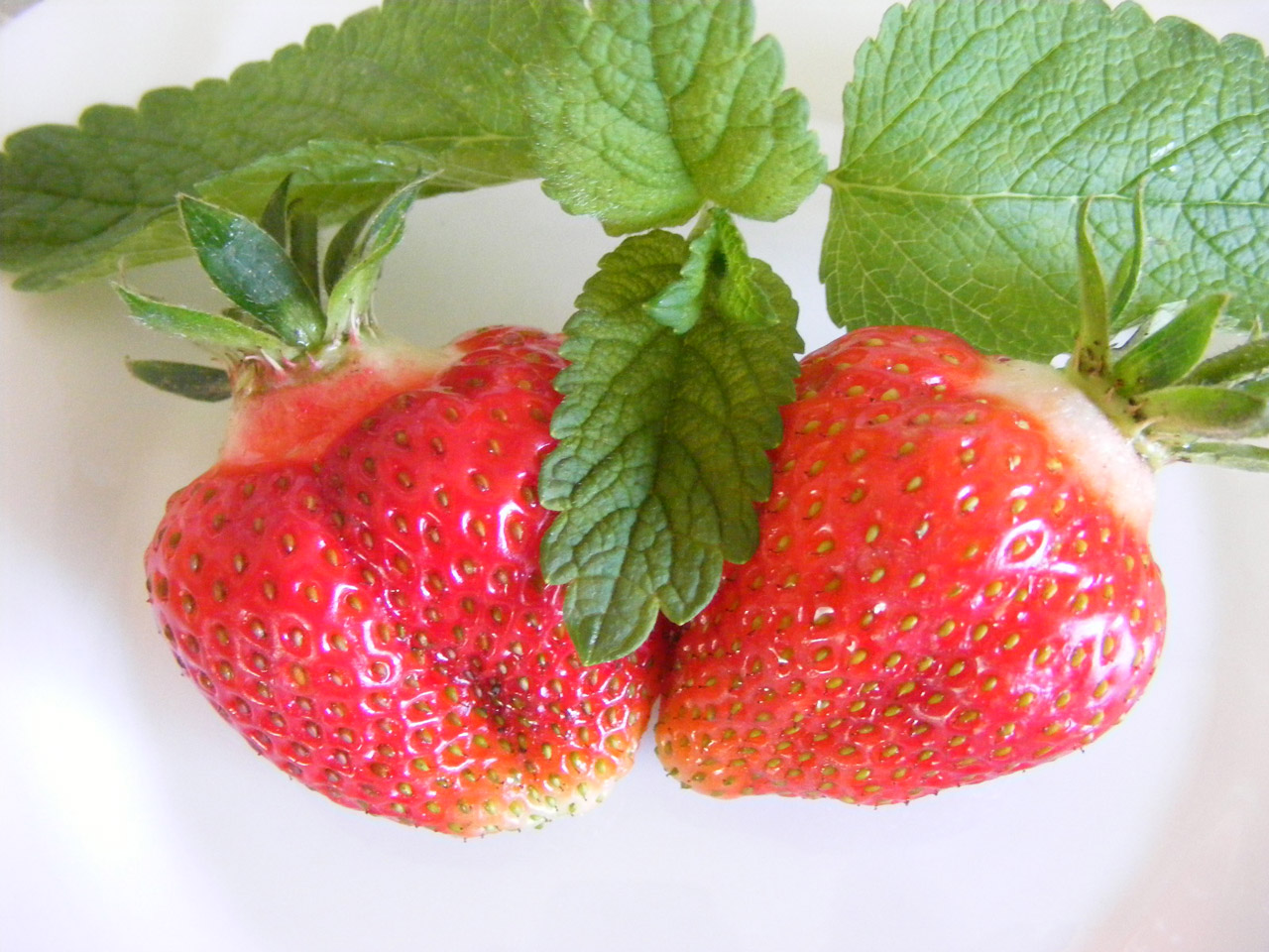 strawberries decorations summer free photo