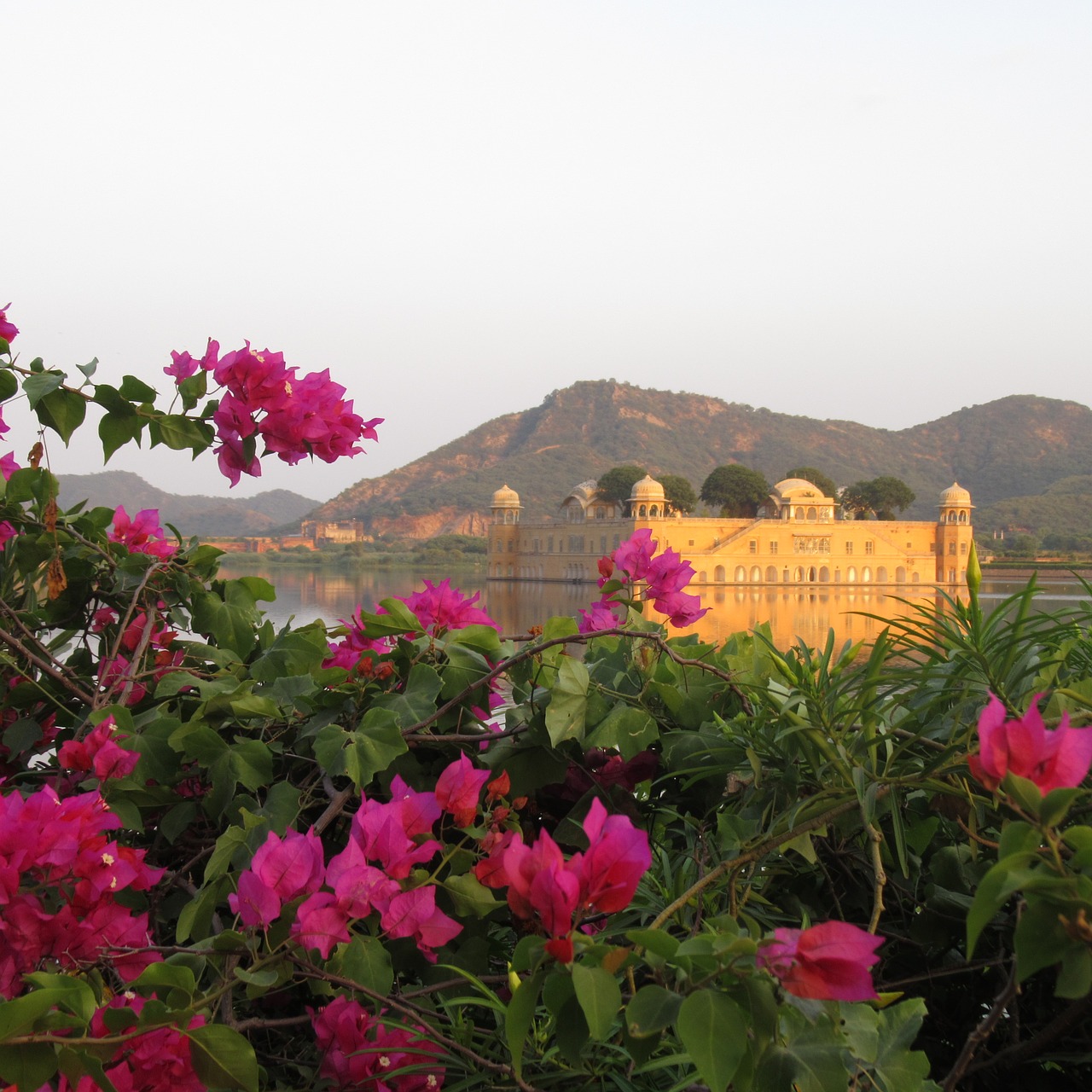 jaipur jal mahal tourism free photo