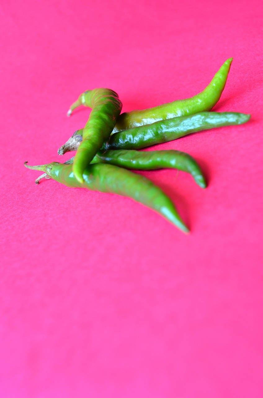 jalapeño pepper chillies green free photo