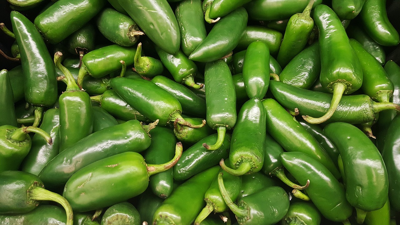 jalapeños chili peppers free photo