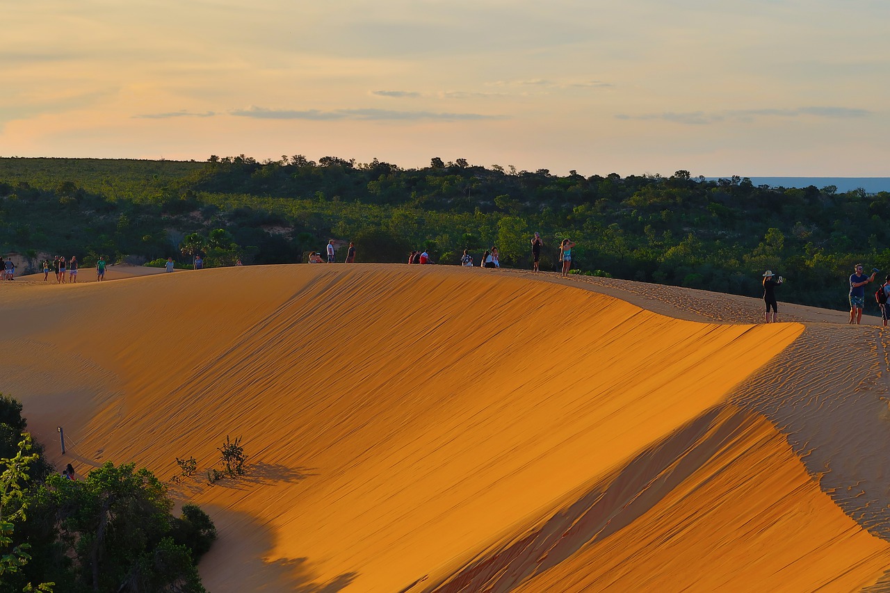 jalapon  tocantins  dunes free photo