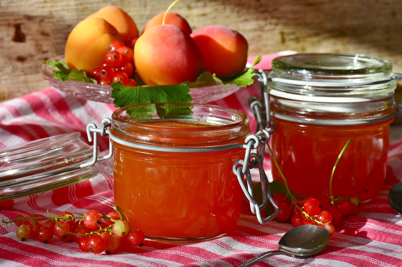 jam apricots apricot free photo