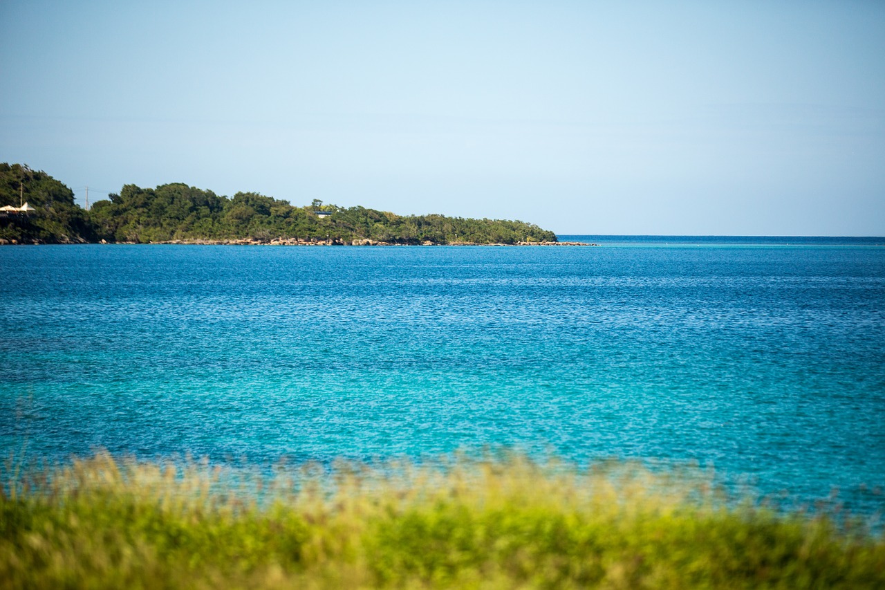 jamaica ocean caribbean free photo