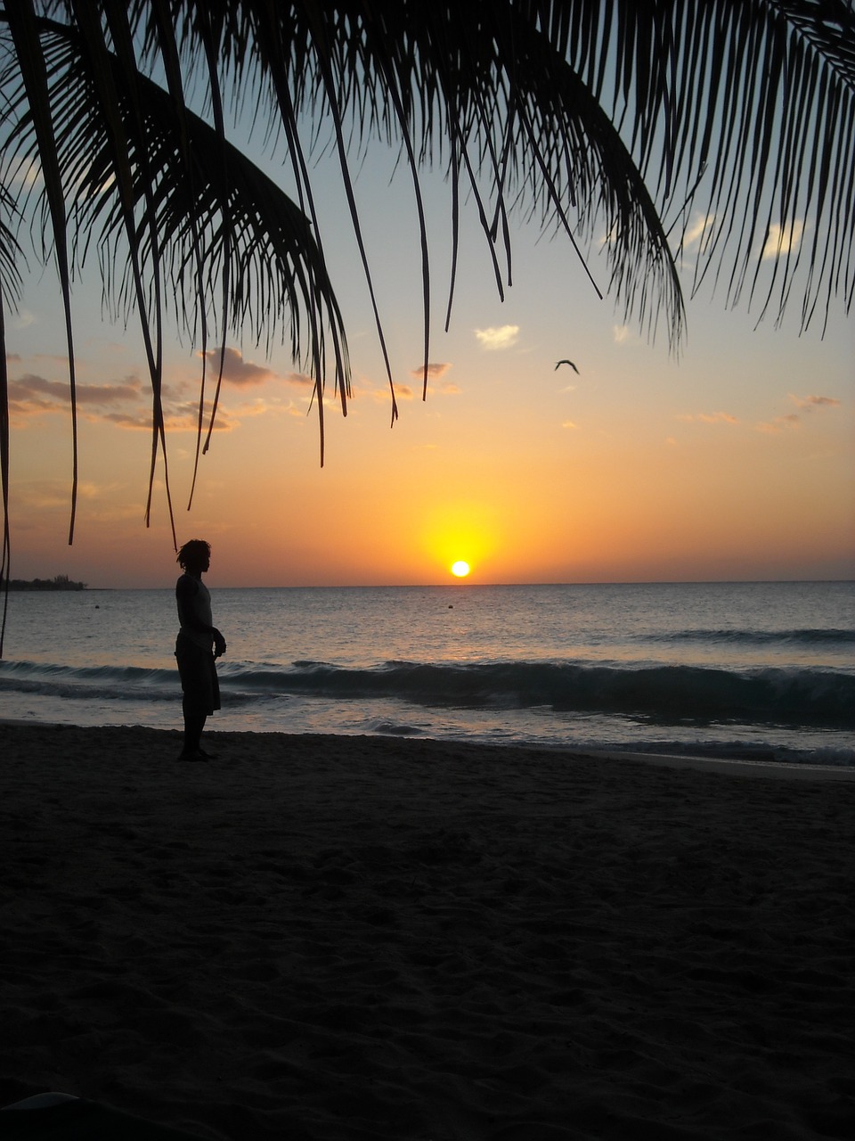 jamaica sunset beach free photo