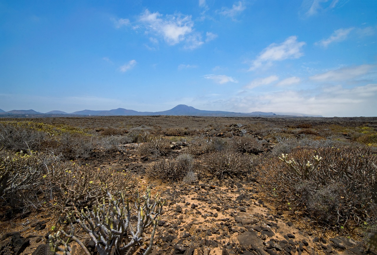 jameos del agua lanzarote canary islands free photo