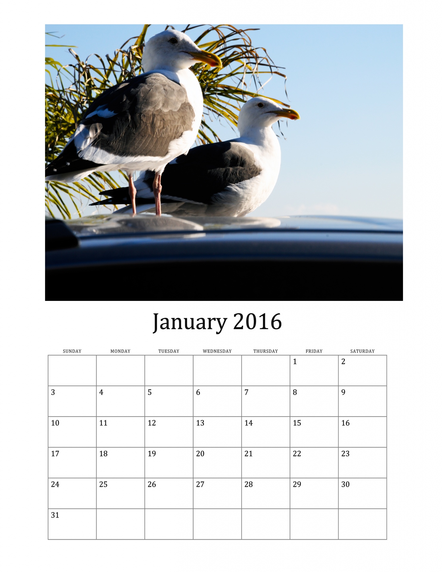 2016 2016 calendar january free photo