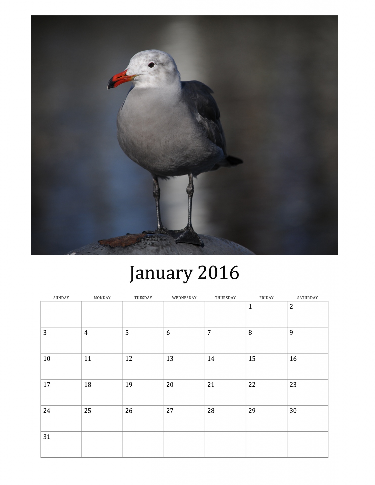 2016 january 2016 calendar monthly calendar free photo