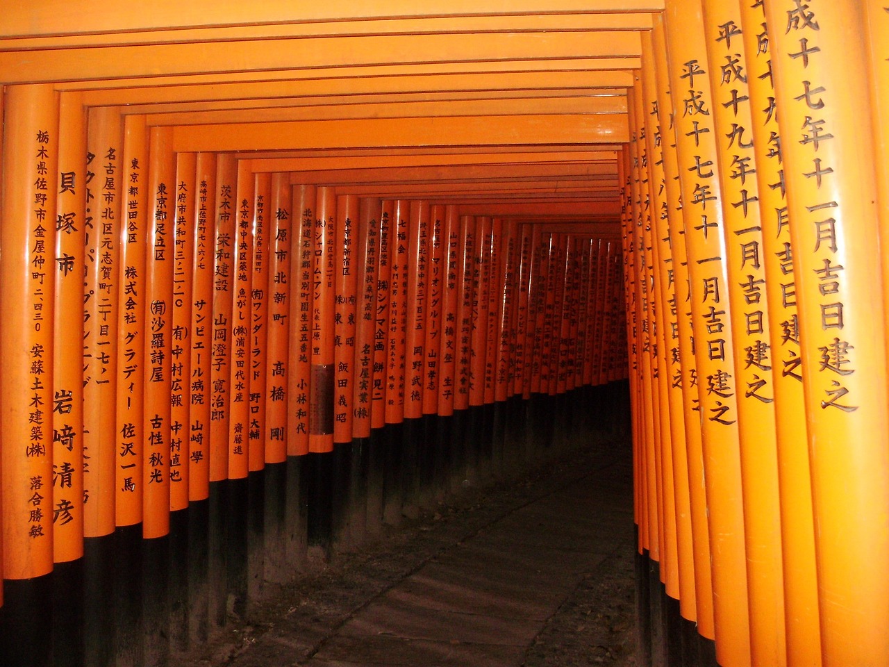 japan inari torii free photo