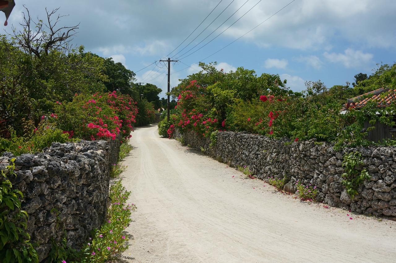 japan okinawa landscape free photo