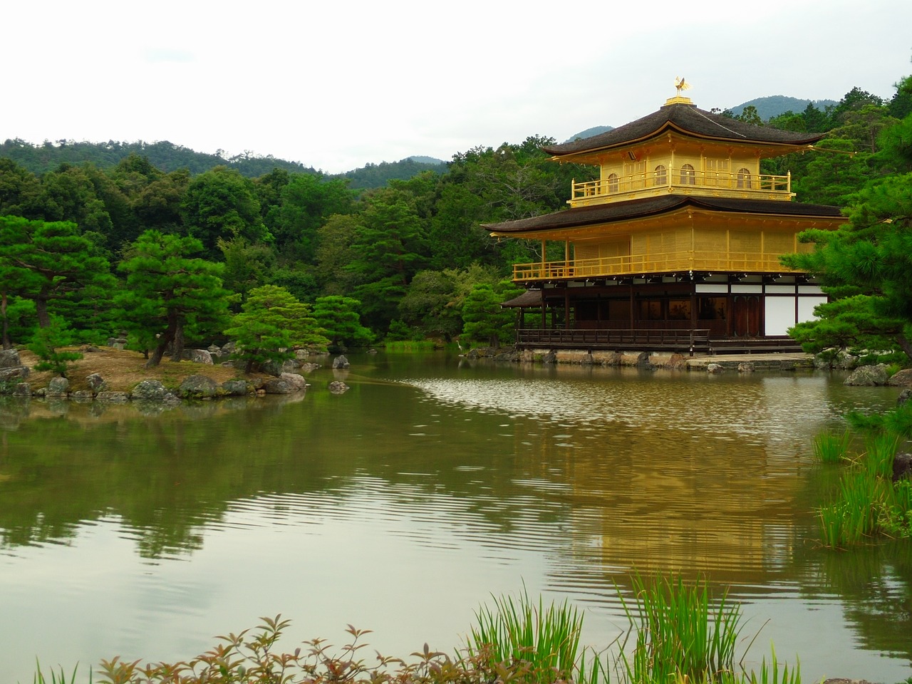 japan the scenery temple of the golden pavilion free photo