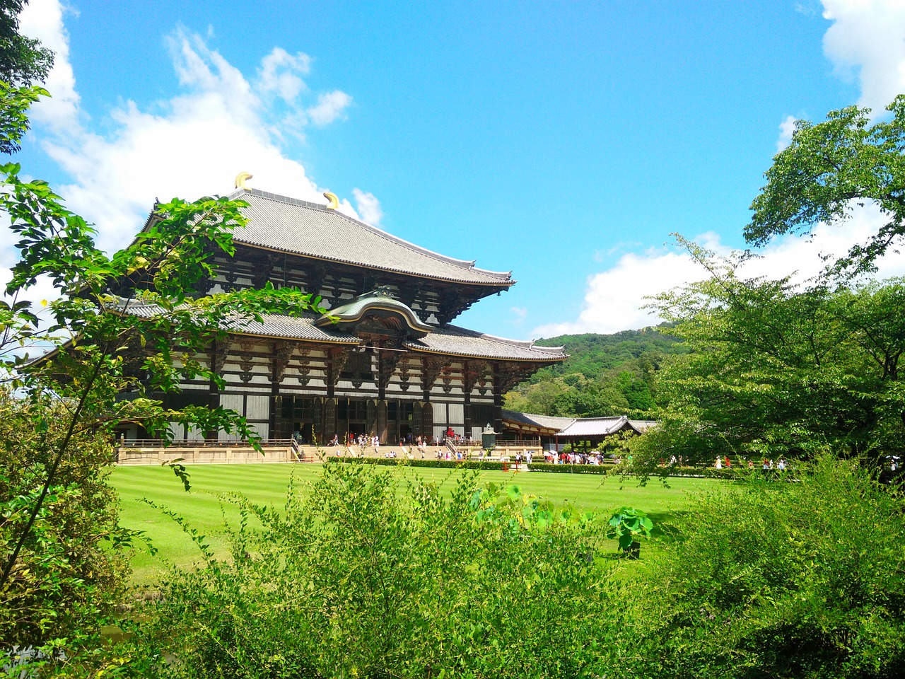 japan the scenery temple of the golden pavilion free photo