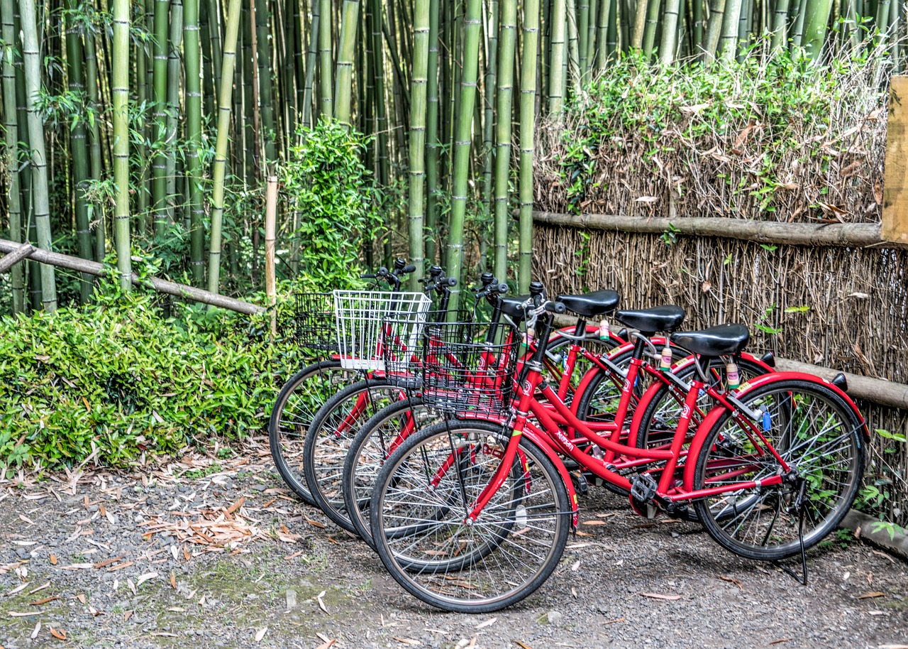 japan bamboo forest arashiyama free photo