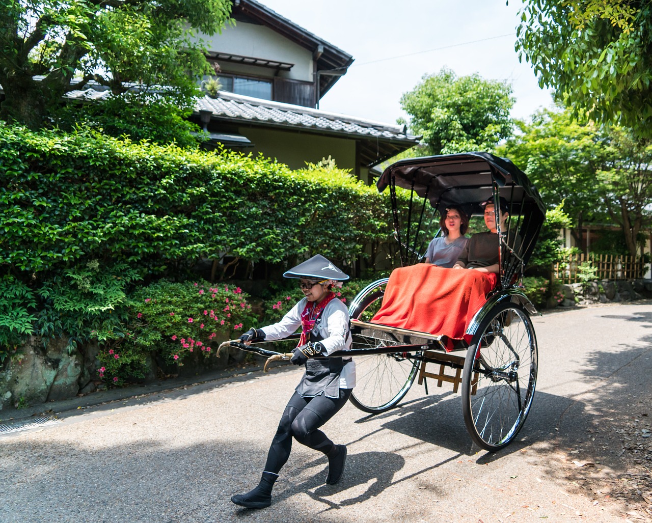 japan arashiyama bamboo forest free photo