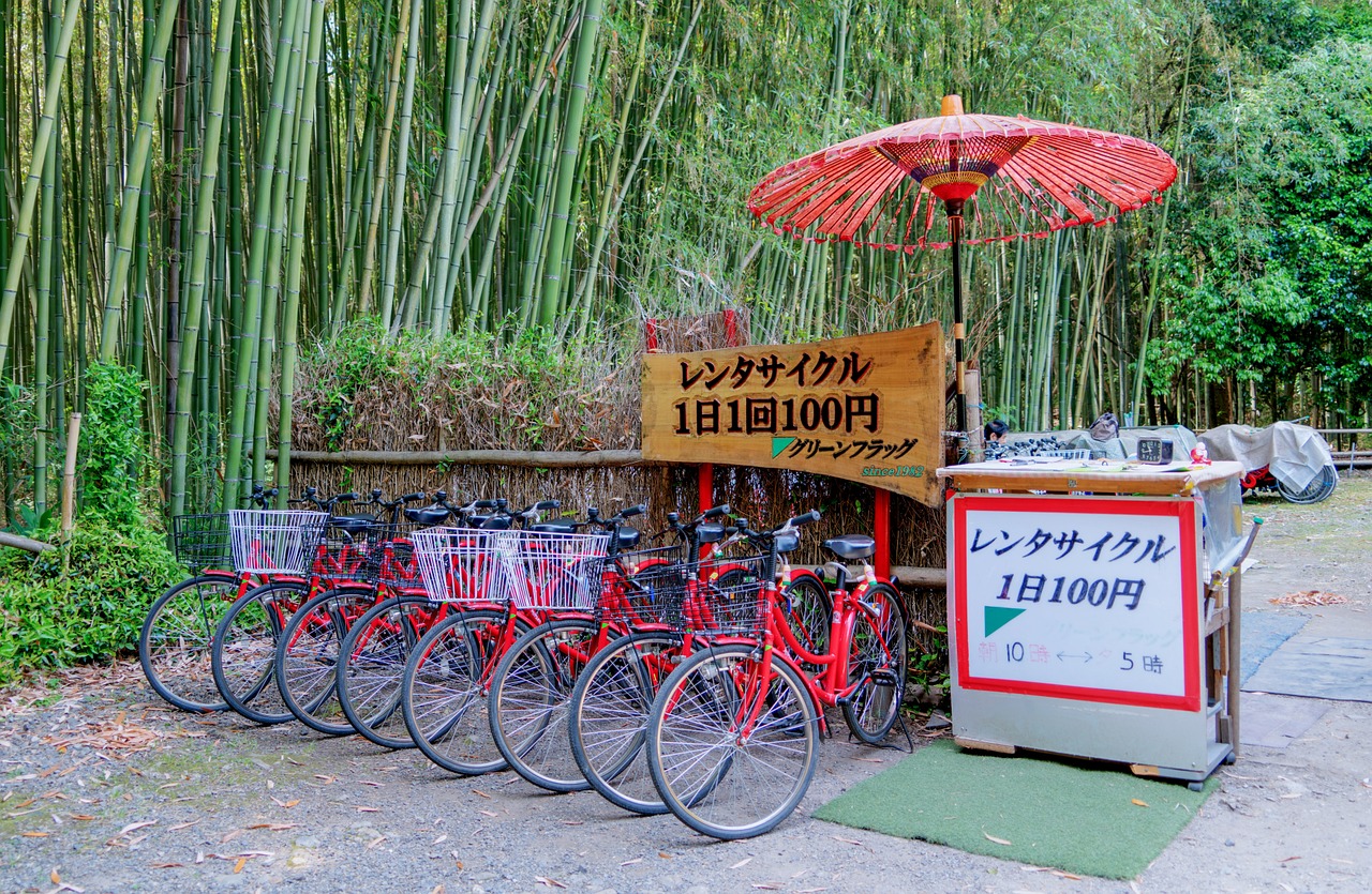 japan arashiyama bamboo forest free photo