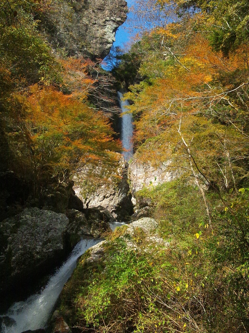 japan autumnal leaves waterfall free photo