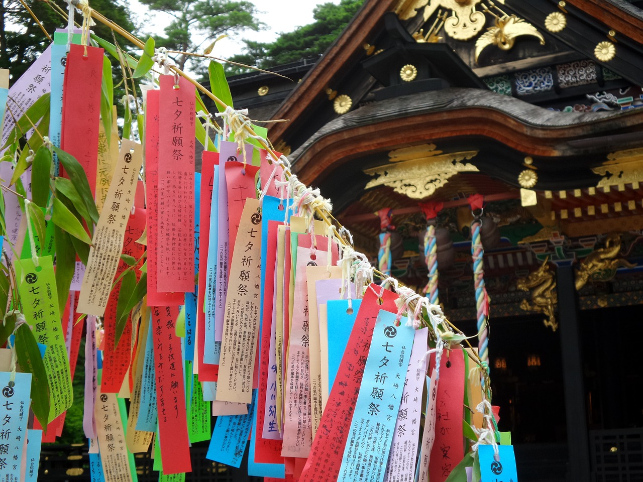 japan temple prayers free photo