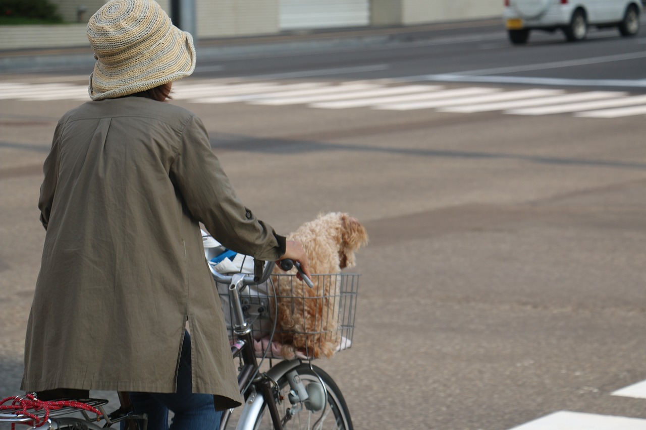 japan street view woman free photo