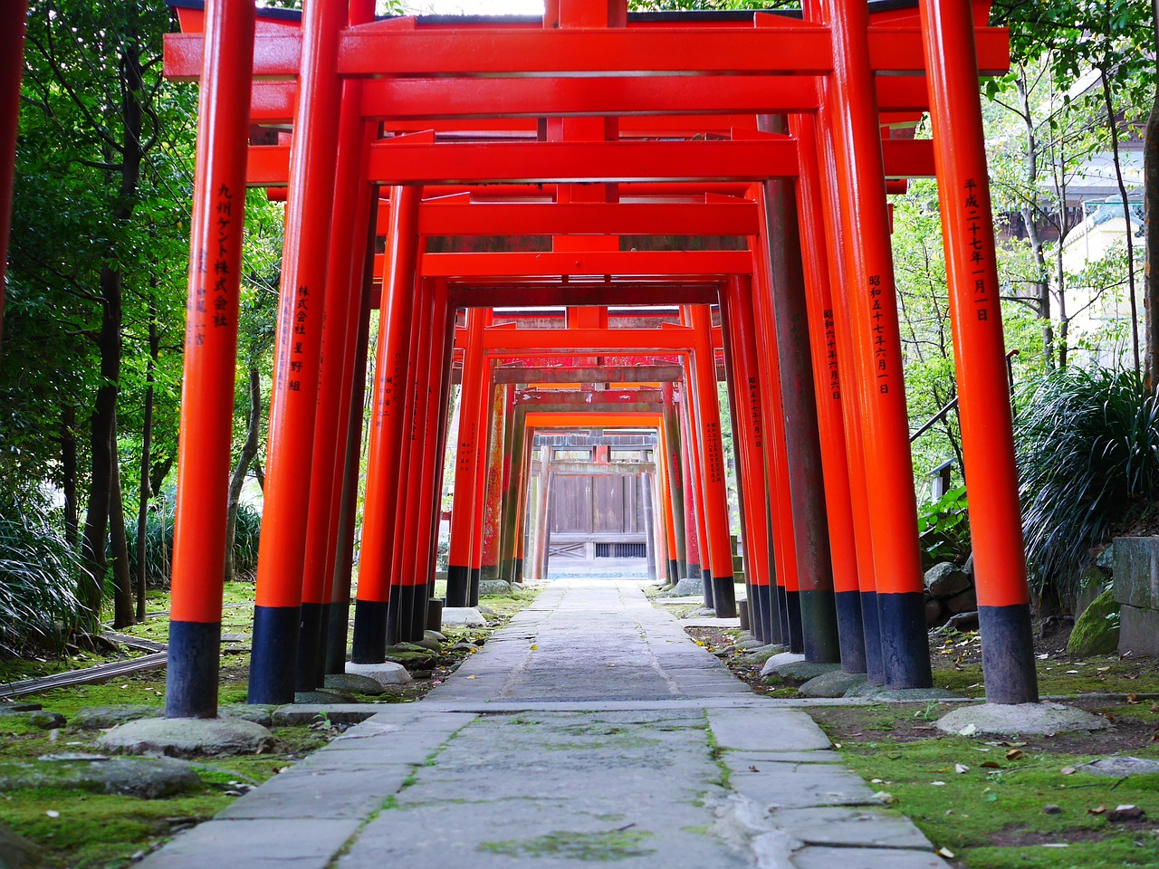 shrine torii japan free photo