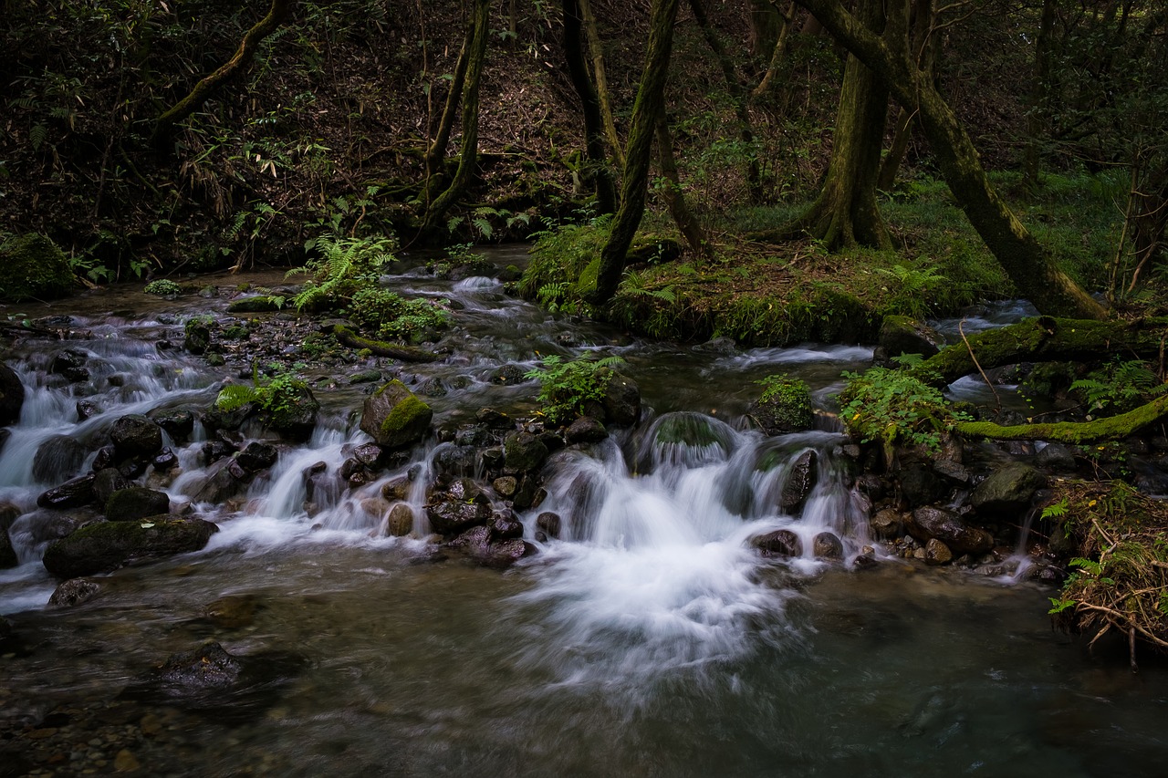 japan kumamoto river free photo