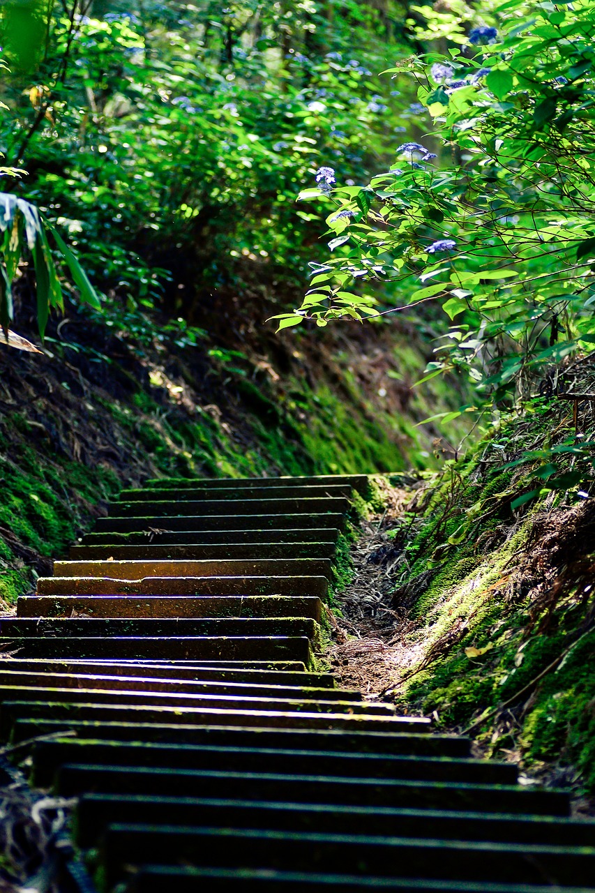 japan stairs green free photo